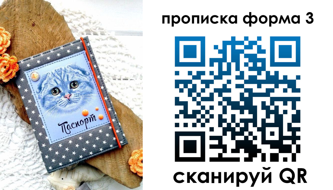 прописка поиск в Богородске